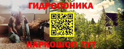 PSILOCYBIN Кулебаки