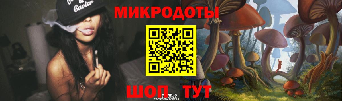 Галлюциногенные грибы Psilocybine cubensis Зеленодольск